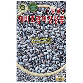 제비 호랑이 강낭콩 씨앗 30g 영농사, 2개