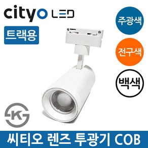 씨티오 LED 렌즈투광기 30W COB 화이트 주광색 전구색