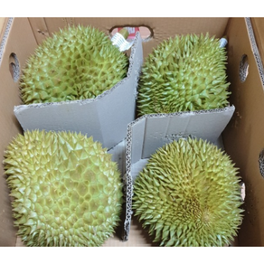 항공직송 태국 생 두리안 생두리안 통두리안 1kg(1-2수) 열대과일 두리안생 duian 태국생두리안 생두리안1kg 생통두리안 듀리안 생두리안1kg1통, 4개, 1kg