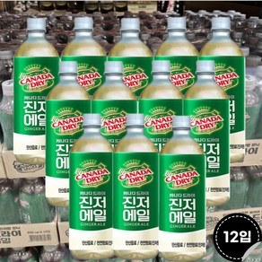 캐나다드라이 진저에일 탄산음료 450ml(12입), 12개, 450ml