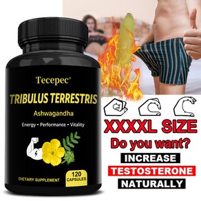 Tibulus Teestis 보조식품 - 에너지 체력 성능 및 열정 증가 기분 개선 생식 건강 남성 활력 성능 향상, 1개, 60정