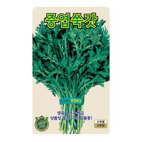 쑥갓씨앗 4000립 중엽쑥갓 씨앗 대장 KS종묘, 1개