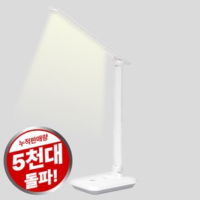 듀플렉스 LED 안티 블루라이트 데스크 스탠드 DP-140LS