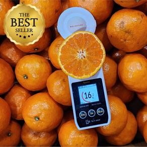 맑은마켓 16Bix 산지직송 제주 카라향, 1박스, 가정용 3kg