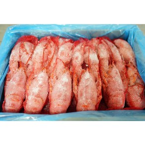 캐나다 직수입 자숙 랍스터 400-450g 10마리 냉동 랍스타, 1개, 4~4.5 kg