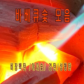 [키친센스]숯 모음, 1개