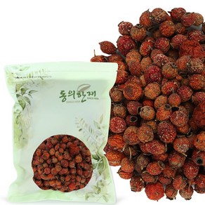 동의한재 국산 산사 나무 열매, 600g, 1개