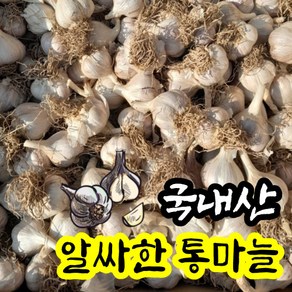 2023 수확 경북 고령 햇마늘 통마늘 한접 3kg 마늘 저장마늘 밭마늘 남도마늘 1접 국내산 국산 양념용 신선 산지직송 특품, 3kg (크기혼합), 1개