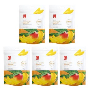 초이스L FRUIT JOY Xoai say deo 말린망고 100g x 5봉