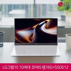 LG그램 10세대 인켈 코어 프로세서, LG그램 15ZB995, WIN11 S, 2666GB, 16GB, WHITE