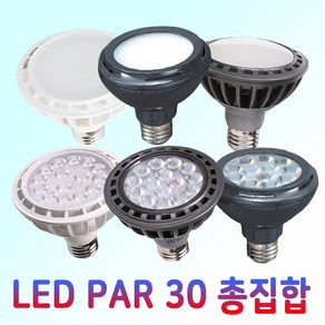 KS LED PAR30 15W 모음 집중형 확산형 디밍 주백색 비츠온 룩스램 시그마 플리커프리, 주광색, 1개