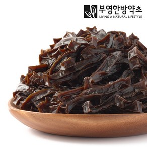 부영한방약초 건조 도토리묵 말랭이, 500g, 1개