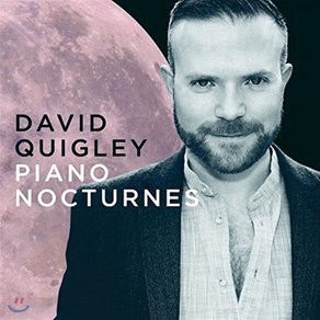 VARIOUS - PIANO NOCTURNES / DAVID QUIGLEY 데이빗 퀴글리: 녹턴 쇼팽 필드 차이코프스키 슈만 리스트 그리그 등의 녹턴 작품들 영국수입반