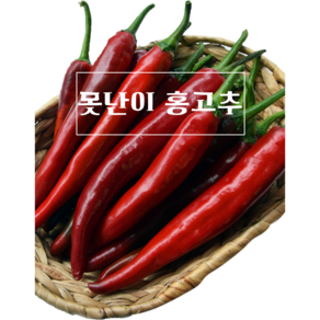 국내산 못난이 홍고추 빨간고추 붉은고추 500g, 못난이홍고추1kg, 1개