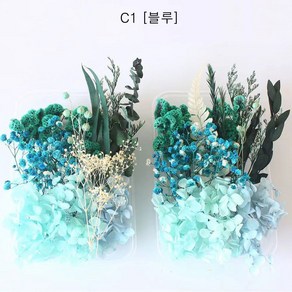 프리저브드 드라이플라워 종합C(말린꽃), C21 [컬러 혼합]