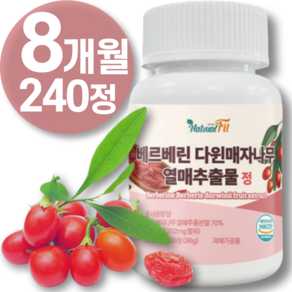 베르베린 추출물 식약청 HACCP 인증 매자나무 리포 베르베린 당 운데실렌산 플러스 조 분 말 미셀 직구 12 효능 5 캐나다 1 0 산 고함량 퀘르세틴 뇨 추천 00mg 영양제, 4개, 60정