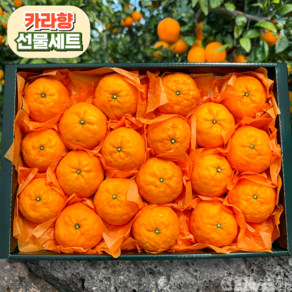 [산지직송] 프리미엄 고당도 카라향 선물세트, 1개, 선물용 2kg