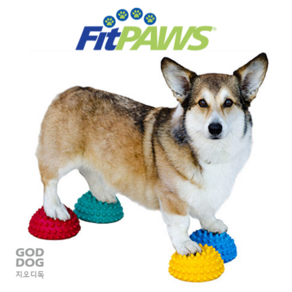 FitPaws PawPods 핏퍼즈 퍼포즈 밸런스운동 신체감각향상 핏포우즈 반려견휘트니스 4개세트, 1개