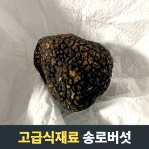 [고급식재료] 송로버섯 이탈리아생트러플 가을트러플 트러플버섯 블랙트러플 블랙송로버섯 생송로버섯, 1개, 50g