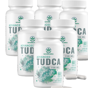 TUDCA 투드카 1100mg 60캡슐 6개, 60정