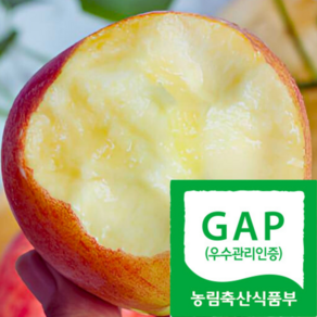 [청송농장직송] 쿠팡한정기획 가정용흠과A급 부사 꿀사과, 1박스, 3kg