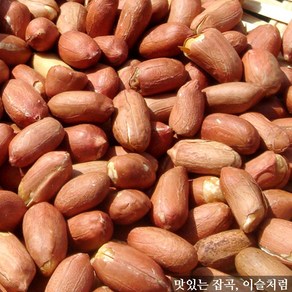 이슬처럼 중국산 볶은땅콩 500g