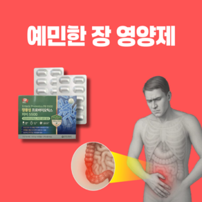 [약국입점] 과민성대장증후군 좋은 영양제 장용성 프로바이오틱스 100억 IBS 유산균 약 비타민, 1박스, 60정