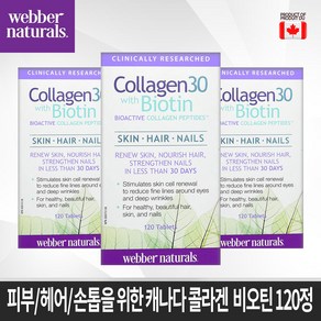 캐나다 비오틴+콜라겐 2중 복합 120정 피부 헤어 손톱 건강 캐나다 생산 직발송 Collagen 30 with Biotin 120 tablets, 1개