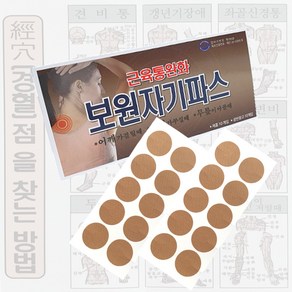 보원 자기파스 근육통완화 자석패치 통증완화 동전패치 10개+공반창고10개, 1개, 1개