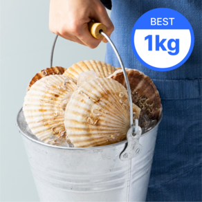 [깔꾸리] 압도적인 크기 대왕 참가리비 1KG 캠핑 조개구이, 1개
