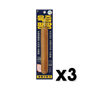 육즙팡팡 정통프랑크, 100g, 3개