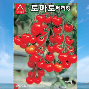 토마토씨앗 베리킹 방울토마토 50립, 1개