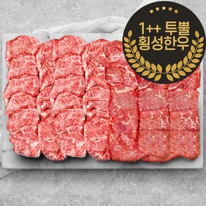 1++ 투뿔 횡성한우 구이 배부른 마블링 모둠 한판 2종 세트 800g, 1세트