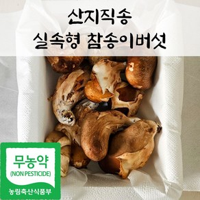 국내산 친환경 참송이 버섯 실속형 가정용, 1박스, 2kg