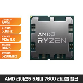 AMD 라이젠5-5세대 7600 (라파엘) (벌크)