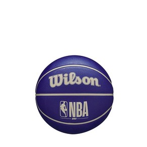 WILSON NBA DRV 야외 농구공 펌프 포함 - 핑크 사이즈 12.7-69.9cm5-27.5인치 218134, 1개, Size 3 - 22