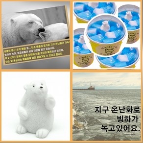 비누야놀자 북극곰 컵비누 5개 만들기 세트 지구의날 행사 diy 키트 만들기 집콕놀이 미술놀이 천연 수제 환경 제로웨이스트, 1개