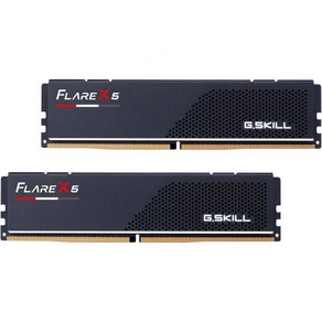 G.SKILL Flae X5 시리즈 AMD Expo DDR5 RAM 96GB 2x48GB 5200MTs CL40404083 1.10V 데스크탑 컴퓨터 메모리 UDIMM 매트, 96GB (2x48GB)_DDR5-5600 40-40-, 2개