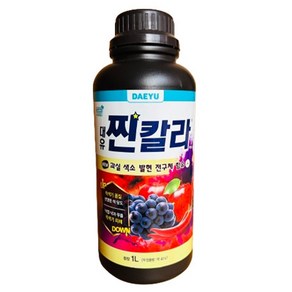 과일 당도 착색 크기 증대 낙과방지 무름경감 대유 찐칼라 500ml, 1개