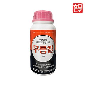 무름칼 액제 500ml + 호미닷컴 전용 약수저 세트 배추 무름병 노균병 비료, 1개