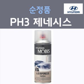 순정품 현대 제네시스 PH3 비크블랙 스프레이 자동차 차량용 카 페인트, 1개, 200ml