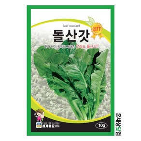 돌산갓 10g / 갓 씨앗 종자 쌈채소 김장 나물 텃밭