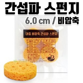 대중 간섭파 비압축 스펀지 6.0cm 1조(4개입), 4개