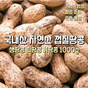 [산지직송] 국내산 자연산 햇땅콩 피땅콩 흙땅콩 껍질땅콩 1000g 1박스, 1kg