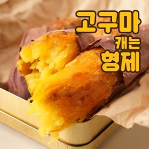 고구마캐는형제 서산 황토 꿀고구마, 1박스, 꿀고구마 10kg 못난이(크기랜덤)