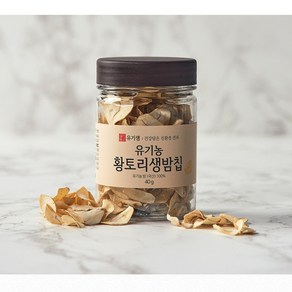 유기샘 국산 유기농 황토리 생밤칩 40g, 1개