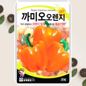 파프리카씨앗 까미오오렌지 파프리카 종자 20립 세계종묘, 1개