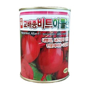 아틀란 비트 씨앗 5000립 아시아종묘, 1개