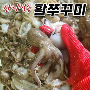 국산 활쭈꾸미 생물 주꾸미, 1kg, 1개