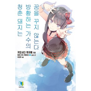 청춘 돼지는 방황하는 가수의 꿈을 꾸지 않는다 10